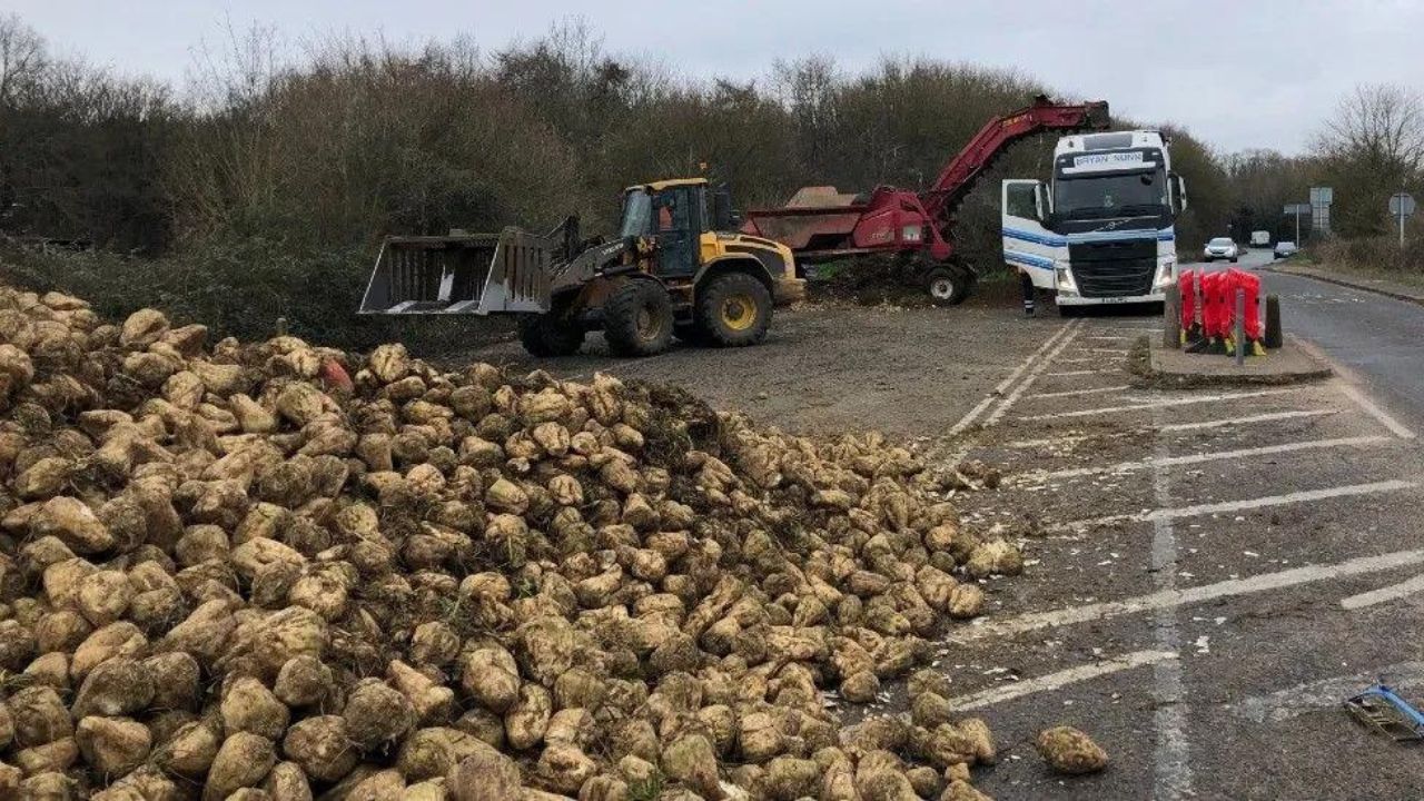 Sugar Beet Crop Dumping Disrupts Cycleway Serenity